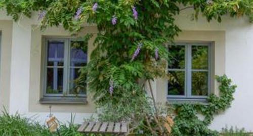 Hofgarten 1824 Hotel Garni Drezno Zewnętrze zdjęcie